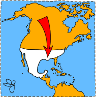 Baumwollplantagen in Amerika