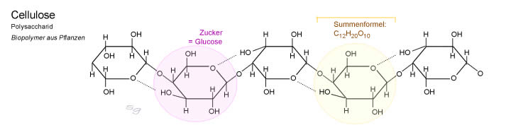Cellulose - Struktur und  Formel