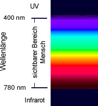 Spektralbereich des sichtbaren Lichts